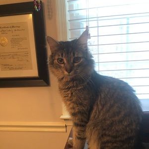 Meet your Posher, Catherine